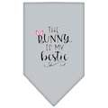Mirage Pet Products Bunny is My Bestie Screen Print BandanaGrey Small 66-186 SMGY